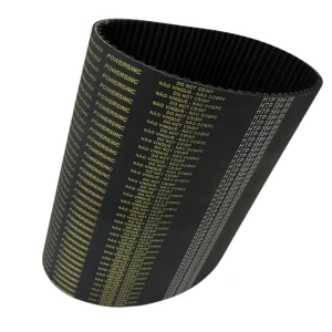 CORREIA 8M 584 X 50MM REXON POWERSINC FP