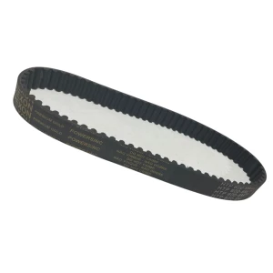 CORREIA 8M 600 X 50MM 200 REXON POWERSINC SCIR