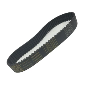 CORREIA 8M 624 X 31MM REXON POWERSINC SCIR