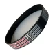 CORREIA 8M 720 X 37MM MEGADYNE TITANIUM RPP