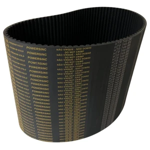 CORREIA 8M 744 X 12MM REXON POWERSINC SCIR