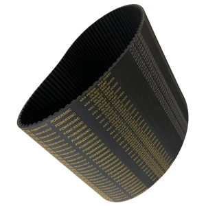 CORREIA 8M 744 X 50MM REXON POWERSINC SCIR