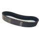 CORREIA 8M 784 X 20MM SINCRON
