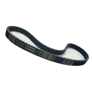 CORREIA 8M 800 X 11MM REXON POWERSINC SCIR