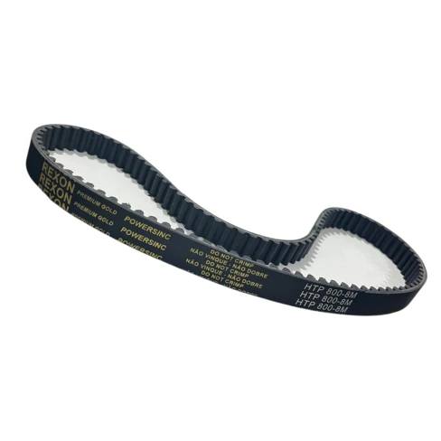 CORREIA 8M 800 X 11MM REXON POWERSINC SCIR