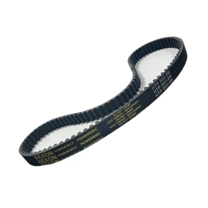 CORREIA 8M 800 X 12MM REXON POWERSINC SCIR