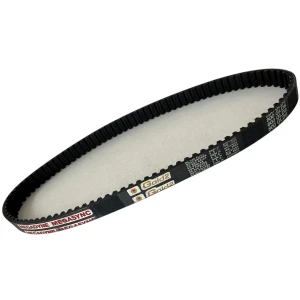 CORREIA 8M 800 X 19MM MEGADYNE GOLD RPP