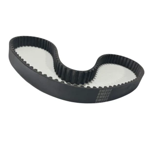 CORREIA 8M 800 X 20MM