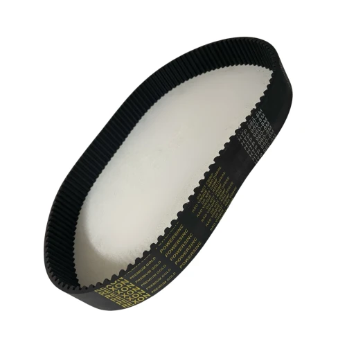 CORREIA 8M 960 X 21MM REXON POWERSINC SCIR