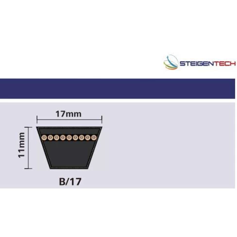 CORREIA EM V B 78 STEIGENTECH