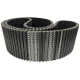CORREIA D14M 1848 X 85MM MEGADYNE RPP