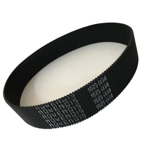 CORREIA D5M 1025 X 10MM MOVENDIS PERFORMANCE