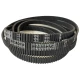 CORREIA D5M 1595 X 14MM MEGADYNE RPP