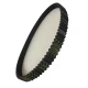 CORREIA D8M 720 X 17MM REXON POWERSINC SCIR