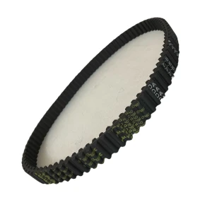 CORREIA D8M 720 X 10MM REXON POWERSINC SCIR