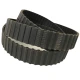 CORREIA DH 700 X 38MM CONTITECH