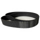 CORREIA DL 600 X 13MM MEGADYNE CORREIA DL 600 X 13MM MEGADYNE