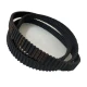 CORREIA DS5M 1350 X 14MM MEGADYNE