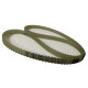 CORREIA DT5 815 X 6MM OPTIBELT AT PU/AÇO - INDUSTRIAL CORREIA DT5 815 X 6MM OPTIBELT AT PU/AÇO - INDUSTRIAL