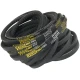 CORREIA EM V 3VX 475 EUROBELT