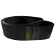 CORREIA EM V 5V 1250/16 REXON POWERBAND
