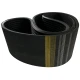 CORREIA EM V 5V 1500/12 REXON POWERBAND