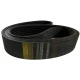 CORREIA EM V 5V 1500/6 REXON POWERBAND