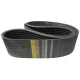 CORREIA EM V 5V 1500/9 REXON POWERBAND