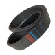 CORREIA EM V 5V 1800/8 MEGADYNE POWERBAND CORREIA EM V 5V 1800/8 MEGADYNE POWERBAND