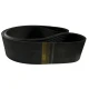 CORREIA EM V 5V 1800/8 REXON POWERBAND