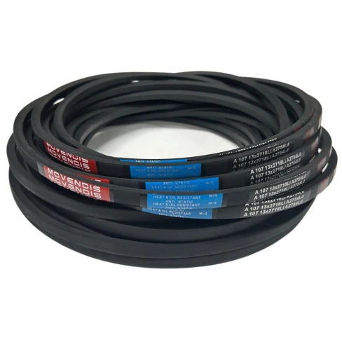 CORREIA EM V A 107 MOVENDIS