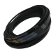 CORREIA EM V A 113 CONDOR