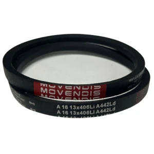 CORREIA EM V A 16 MOVENDIS
