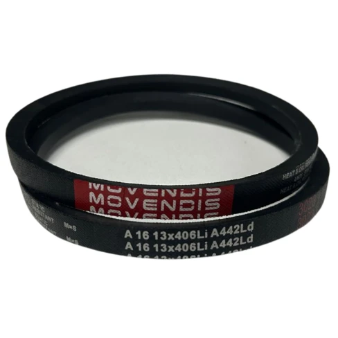 CORREIA EM V A 16 MOVENDIS