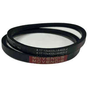 CORREIA EM V A 17 MOVENDIS