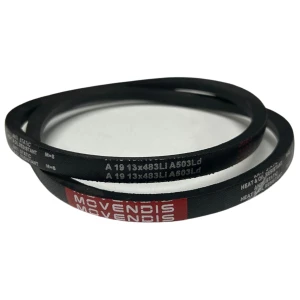 CORREIA EM V A 19 MOVENDIS