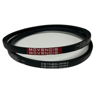 CORREIA EM V A 23 MOVENDIS