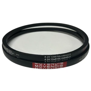 CORREIA EM V A 24 MOVENDIS