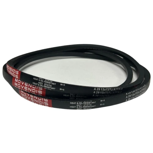 CORREIA EM V A 29 MOVENDIS