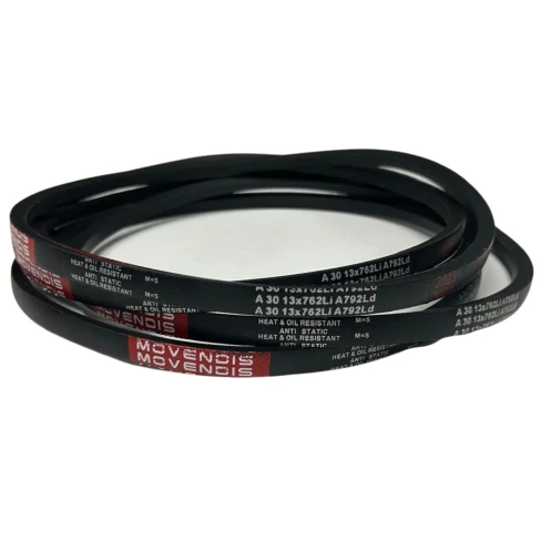 CORREIA EM V A 30 MOVENDIS