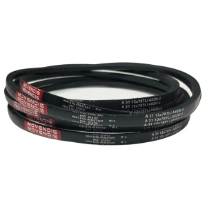 CORREIA EM V A 31 MOVENDIS