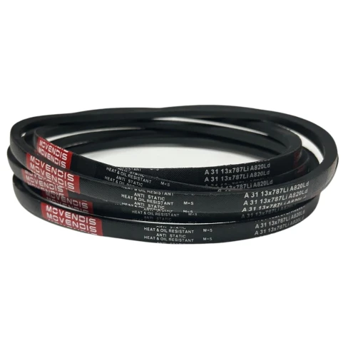 CORREIA EM V A 31 MOVENDIS