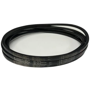 CORREIA EM V A 39 STEIGENTECH