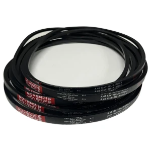 CORREIA EM V A 46 MOVENDIS