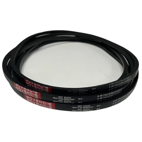 CORREIA EM V A 48 MOVENDIS