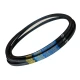 CORREIA EM V A 49 CONDOR