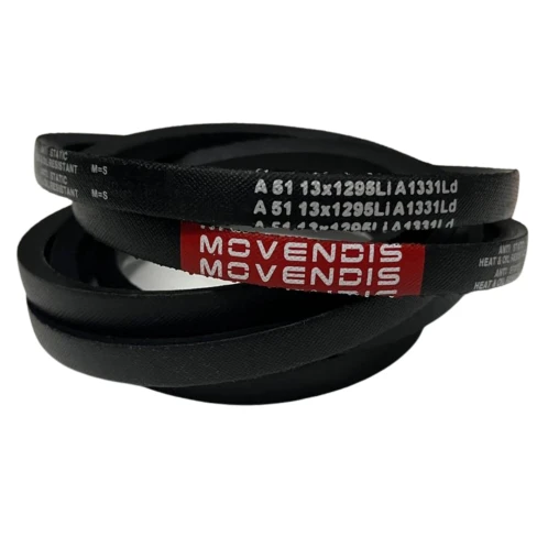 CORREIA EM V A 51 MOVENDIS