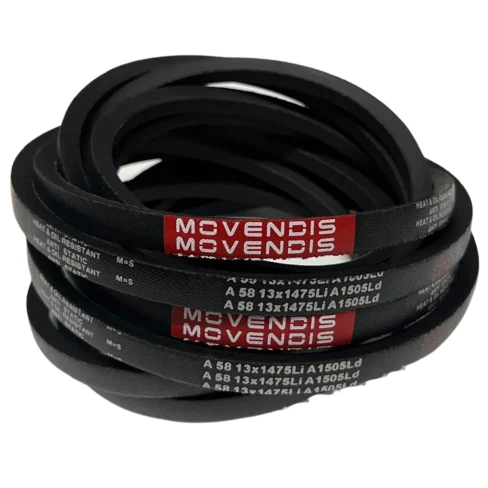 CORREIA EM V A 58 MOVENDIS