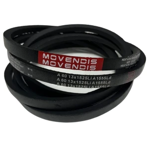 CORREIA EM V A 60 MOVENDIS