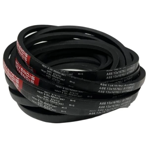 CORREIA EM V A 66 MOVENDIS